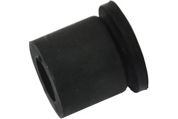 Bushing, leaf spring